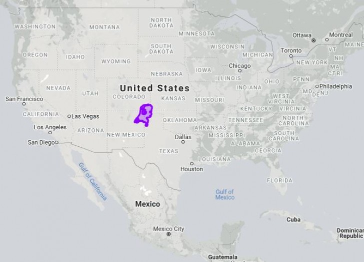 6. Quel puntino viola lì al centro è l'Olanda: incredibile quanto siano vasti gli Usa!