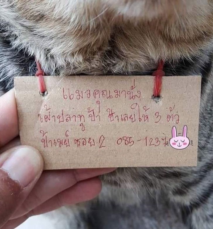 Facebook/ changpuaksiam