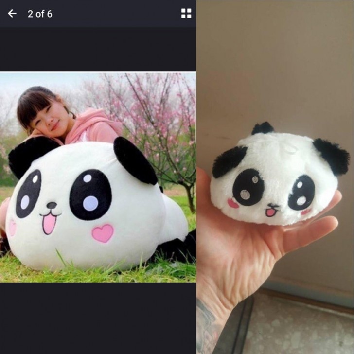 14. "Un de mes amis a commandé ce coussin en forme de panda pour sa fille..."