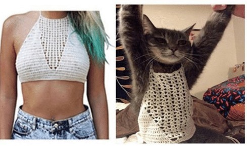 2. When you buy a top you thought would flatter your figure, but in reality it only fits the cat!