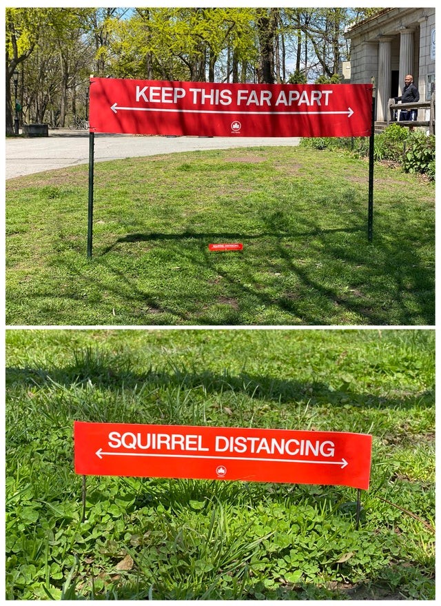 Jemand schuf ein soziales Distanzierungssignal für die Eichhörnchen im Park.