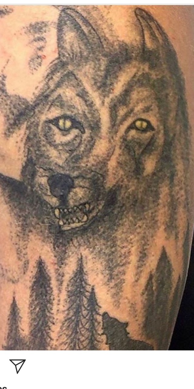 10. Será que tem alguém que realmente acredite que esta tatuagem de lobo tenha sido bem feita?