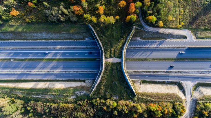 7. Anche l'Estonia ha i suoi "ecodotti": questo unisce due zone verdi separate dall'autostrada