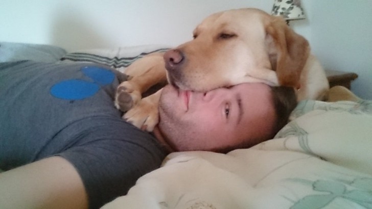 Pour le chien, son maître est un très bon oreiller.