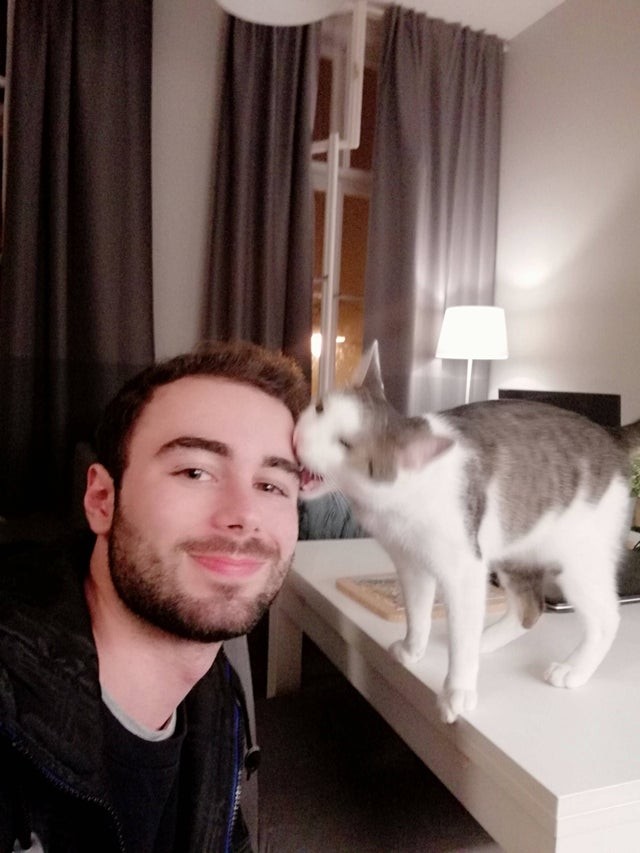 Het lijkt erop dat mijn kat niet van selfies houdt!