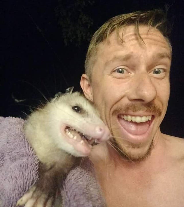 Autoportrait avec opossum !