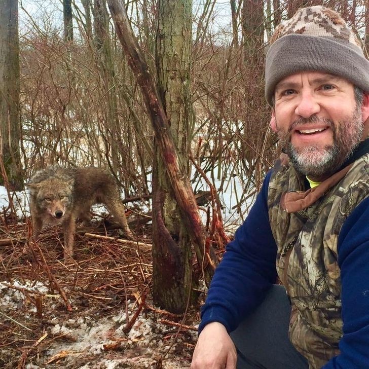 A dangerous selfie with a coyote ... he's not friendly looking!