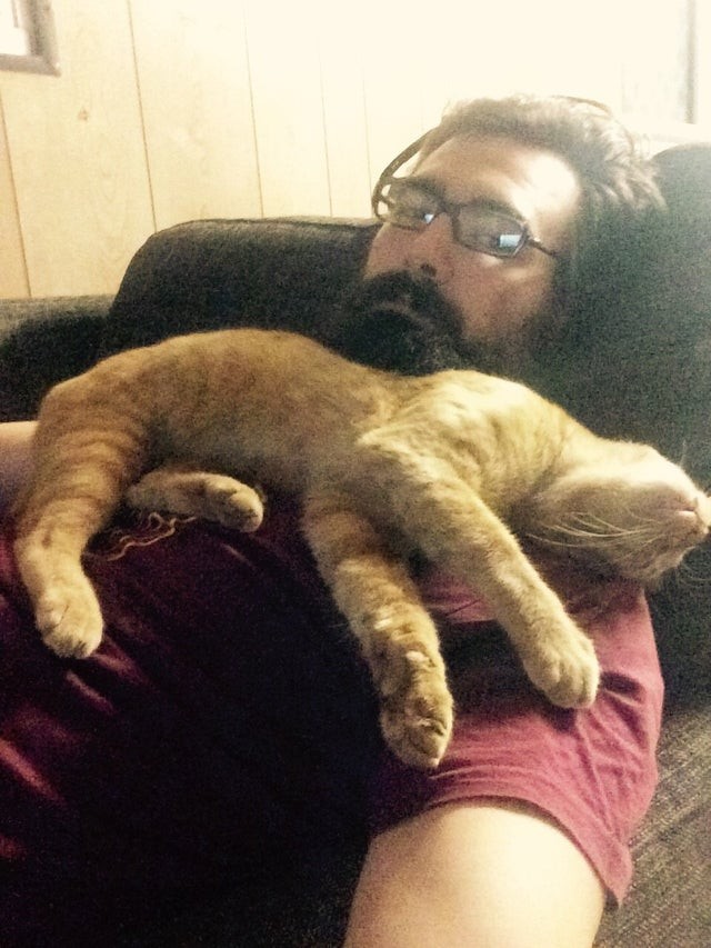 The only place where he feels comfortable and falls asleep.