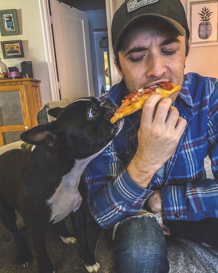 7. Now I can't eat even a piece of pizza in peace!