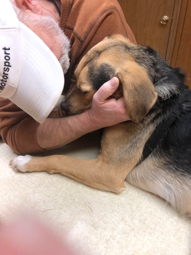 Meu pai não suportava cachorros, e agora veja como ele o conforta no veterinário!