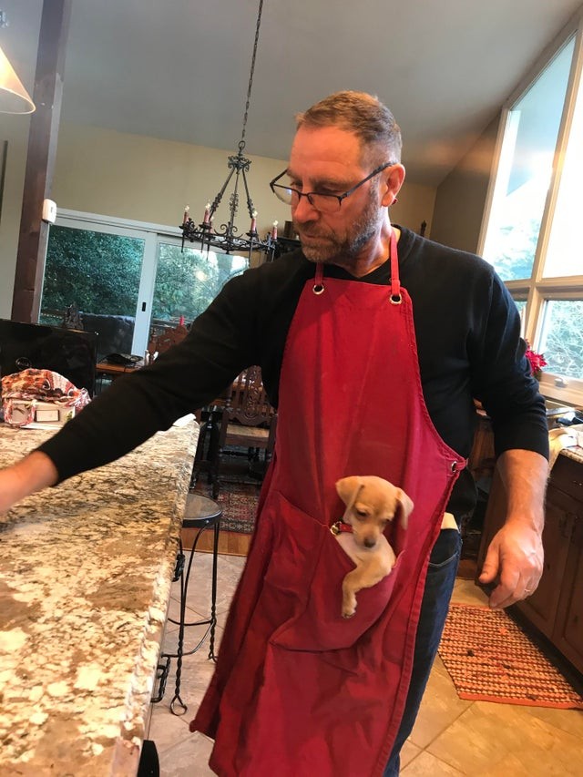 Ele não se separa de seu novo cachorrinho, mesmo quando é o chef da cozinha aqui de casa!
