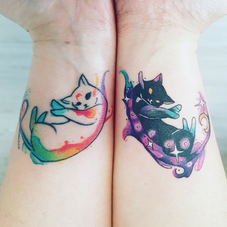 Dois gatos, um só coração!