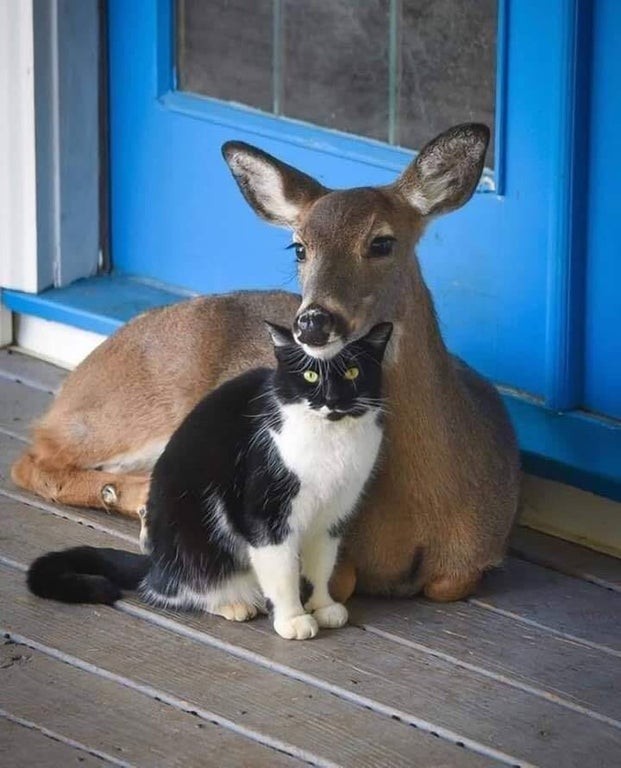 La famille ne signifie pas seulement la parenté biologique...