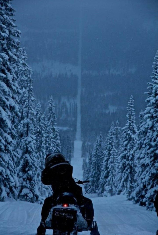 5. La frontière entre la Norvège et la Suède : pratiquement une très longue ligne qui passe entre des sapins enneigés !