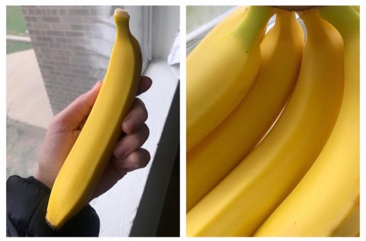 6. Avete mai visto delle banane così perfette?