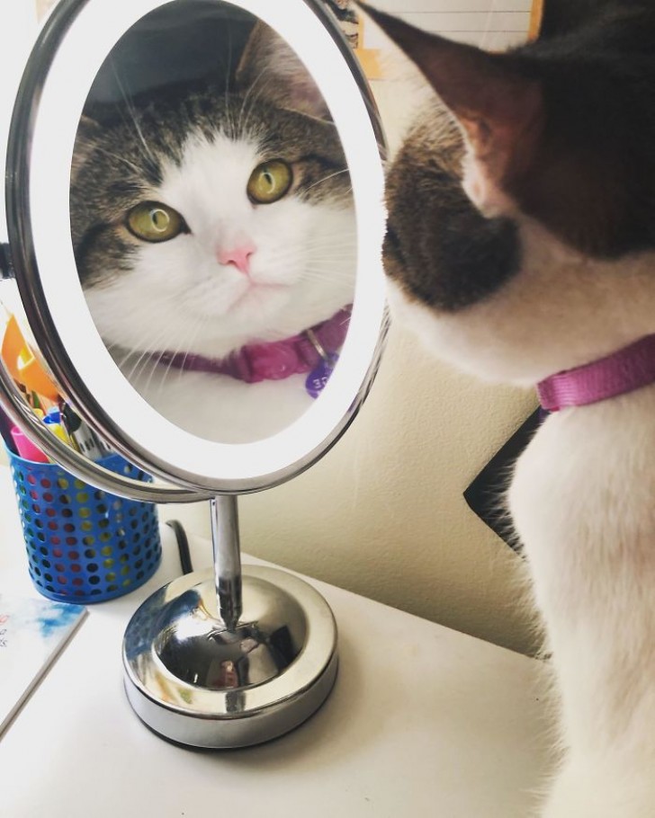 Mellan mig och spegeln: jag är påträngande men väldigt fotogenisk!