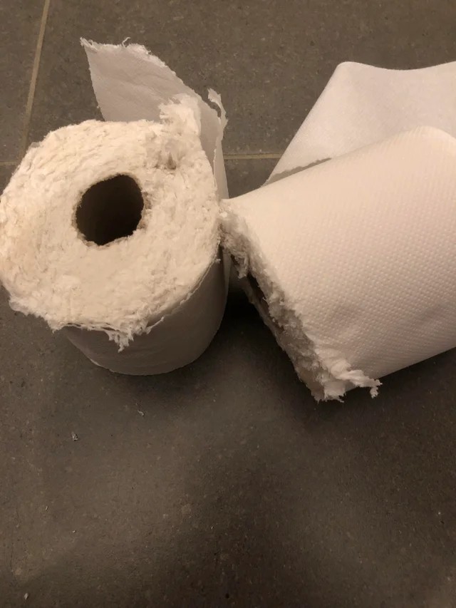 Mein Sohn konnte das Toilettenpapier nicht finden, also nahm er die Küchenrolle und schnitt sie in zwei Hälften!
