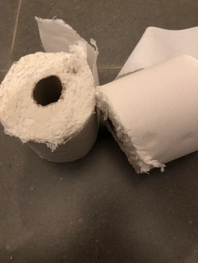 Meu filho não achava o papel higiênico, então ele pegou o rolo da cozinha e cortou em dois...