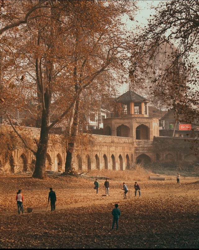 4. Eine wunderbare Herbstszene, die keineswegs ein Gemälde ist, sondern zu 100% daran erinnert