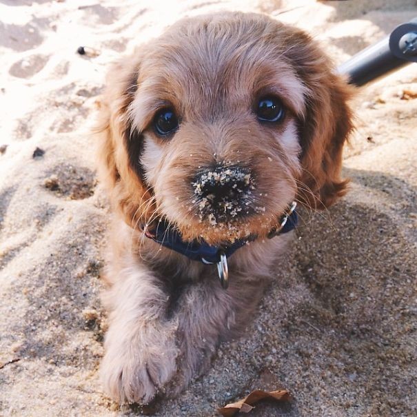 10. Das erste Mal am Strand!