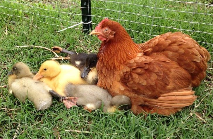 Ein rührendes Familienbild!