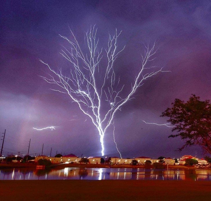 11. Ein unglaublicher und beunruhigender "Baum" von Blitzeinschlägen
