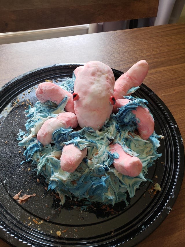 10. Je voulais faire un gâteau en forme de pieuvre, mais ce que j'ai fait n'est qu'une étrange créature...