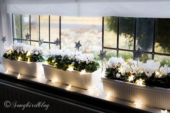 9. Und wenn Sie draußen keine Fensterbank haben, haben Vasen mit weißen Blumen mit Licht auch von außen betrachtet eine schöne Wirkung
