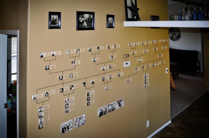 8. Un’intera parete destinata a un albero genealogico schematico