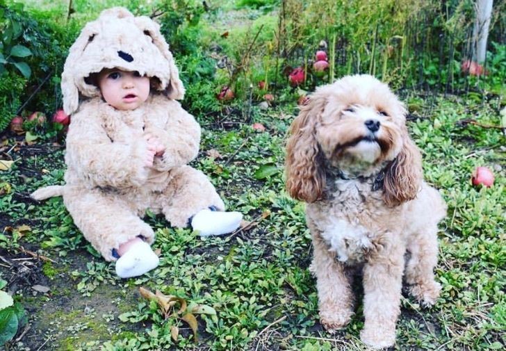 12. My daughter dressed like a dog, while gathering apples in the garden"