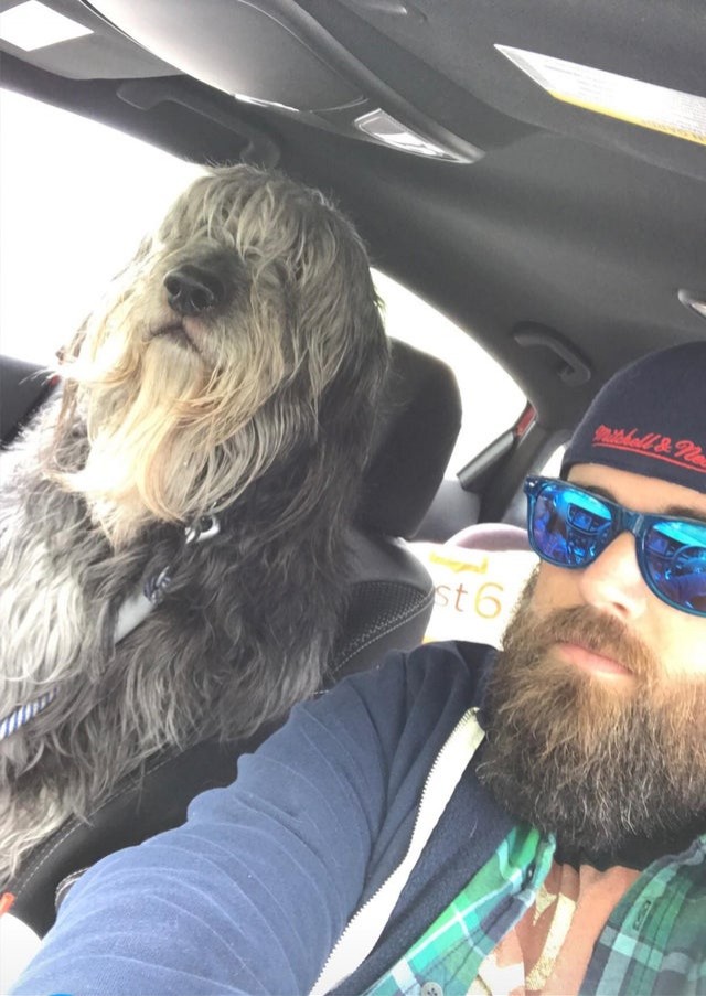 15. "This is Ben. He also has a beard and is as big as a human. They have fun in the traffic"