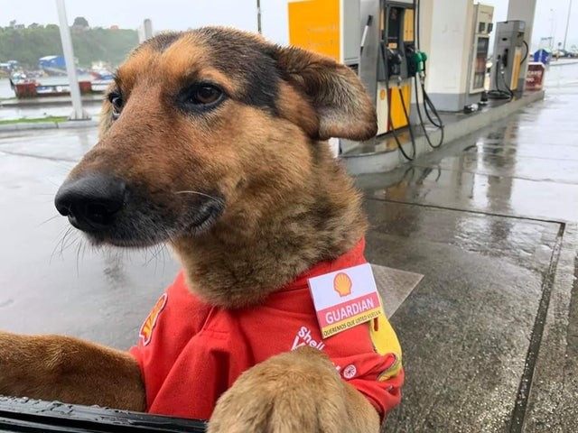 2. Großartiger Dienst heute!