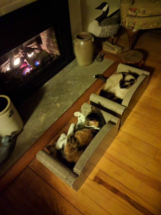 5. Comme deux gentils petits vieux qui se réchauffent devant la cheminée après le repas de Noël