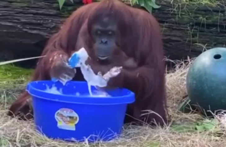 9. Sandra se lave les mains après avoir vu son gardien faire de même.