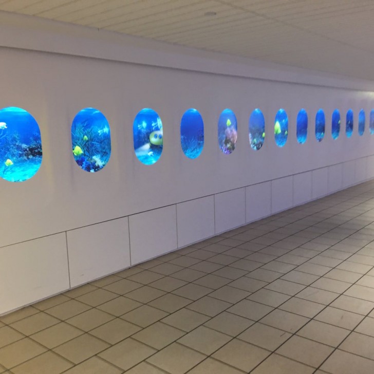 4. In questo aeroporto hanno decorato le pareti in modo che fossero simili all'interno di un aereo: non è molto rassicurante che "fuori" si veda un fondale marino...