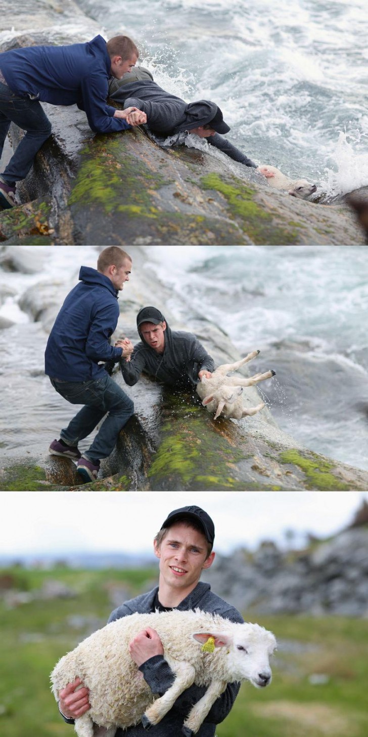 5. Due ragazzi mentre rischiano la loro stessa vita pur di salvare un agnellino caduto in acqua