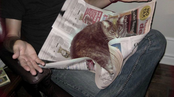 14. "Okay, I can't read the newspaper anymore .."