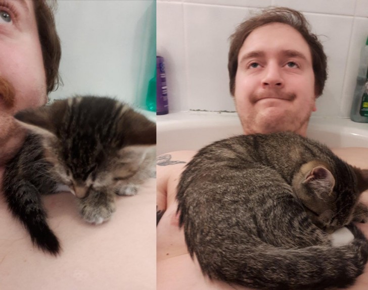 6. "The first day I adopted her she managed to sneak into the bathroom and take a nap on my shoulder while I was taking a hot bath. Today she continues to do it .. and I thought cats hated water!"