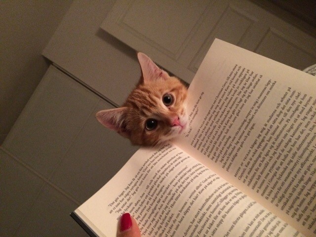 8. "So ... you want to read? Really?"