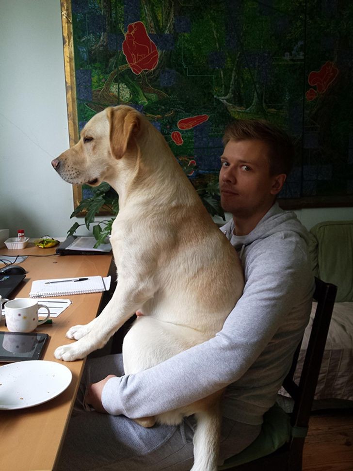 9. "Idag har min hund bestämt att jag inte ska jobba..."