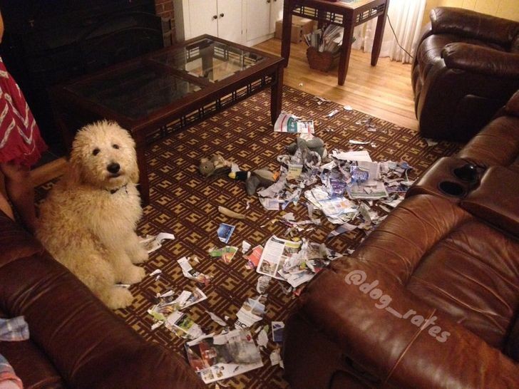 1. "Hi mom, you think it was me? But that's not true!"