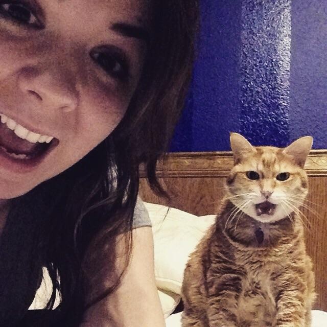 Un gatto stupefatto dalla potenza del selfie!