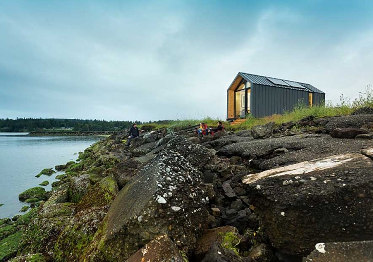 Modern Shed