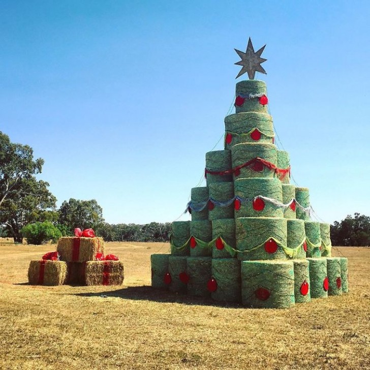 Merry Christmas from this horse riding school too!