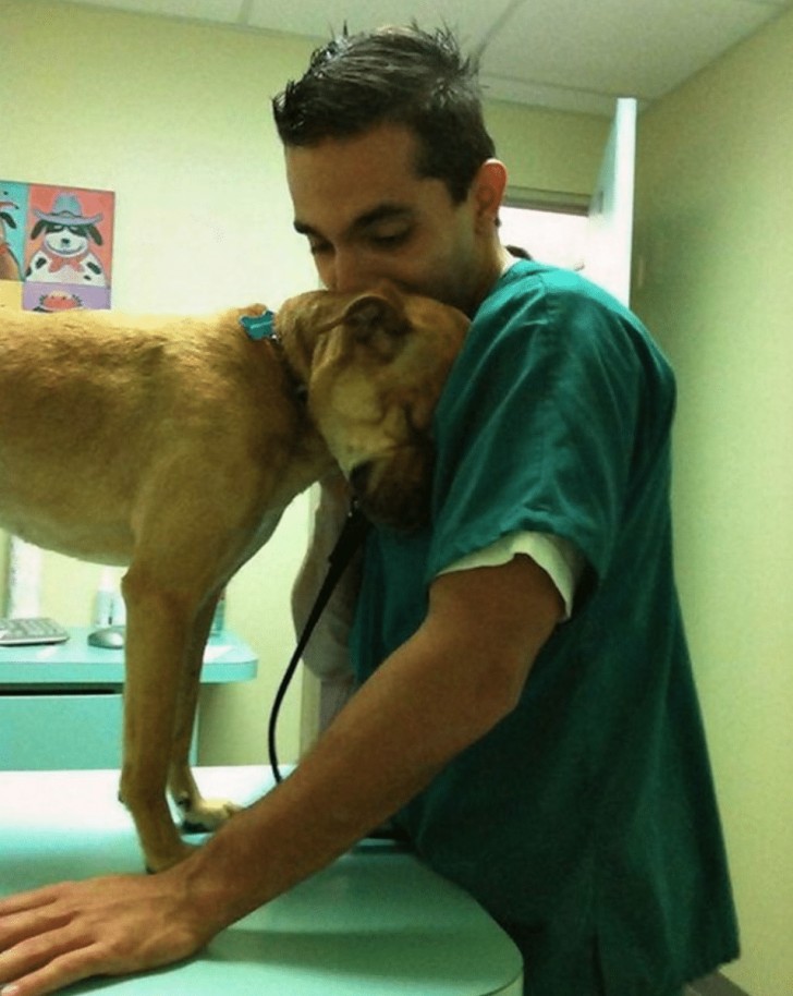 1. Il cagnolino "ringrazia" il veterinario che lo ha guarito