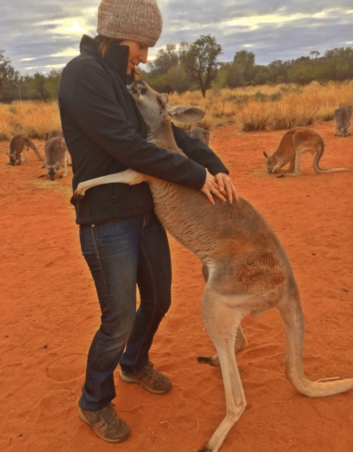 4. Dieses Känguru weiß, dass es lebt, wegen der Frau vor ihm...