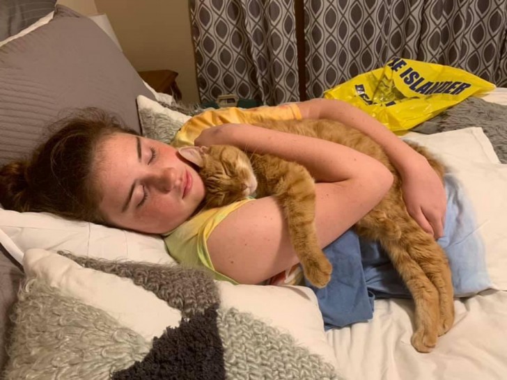 9 "Wir adoptierten eine 11-jährige Katze aus einem Tierheim in Chicago. Sie und meine 13-jährige Tochter verliebten sich ineinander. Das sind sie, nachdem sie von einer einwöchigen Reise zurückkam"