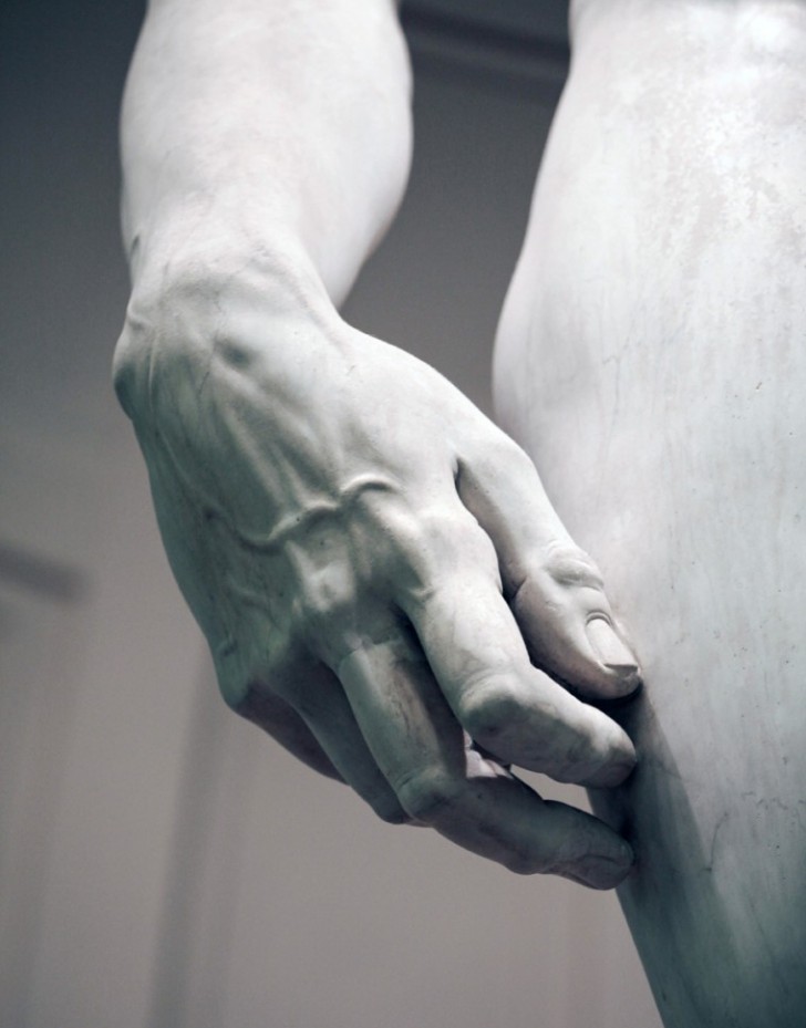7. David (detail), Michelangelo Buonarroti