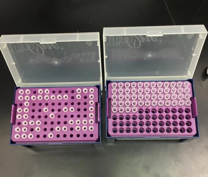 8. Même les scientifiques se divisent entre ceux qui sont ordonnés... et ceux qui ne le sont pas !