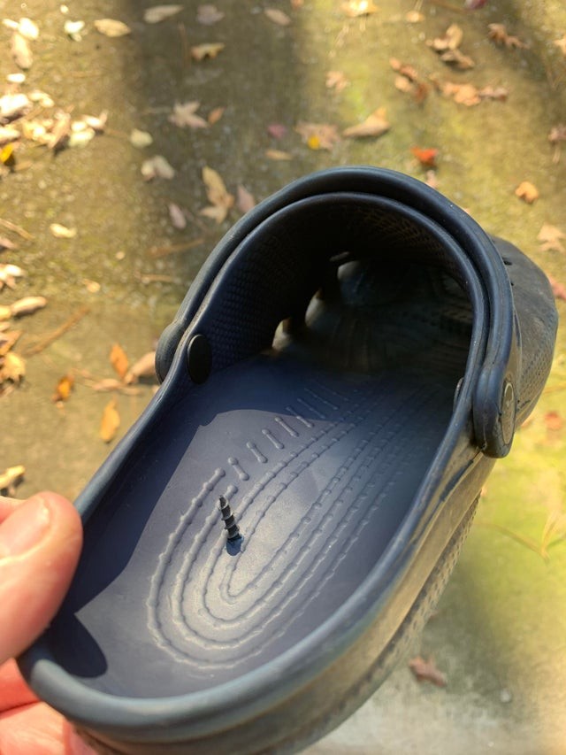 My son was playing in the garden while I was working in the garage ... luckily I checked my slipper before putting it on!